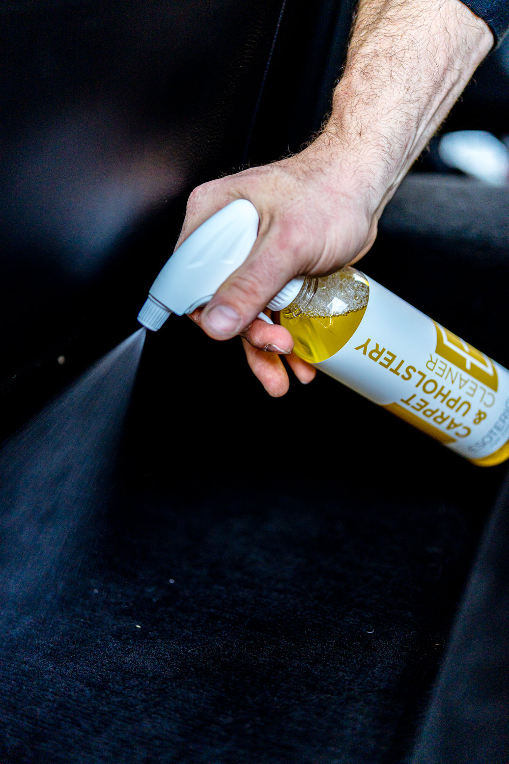 ESOTERIC Carpet & Upholstery Cleaner