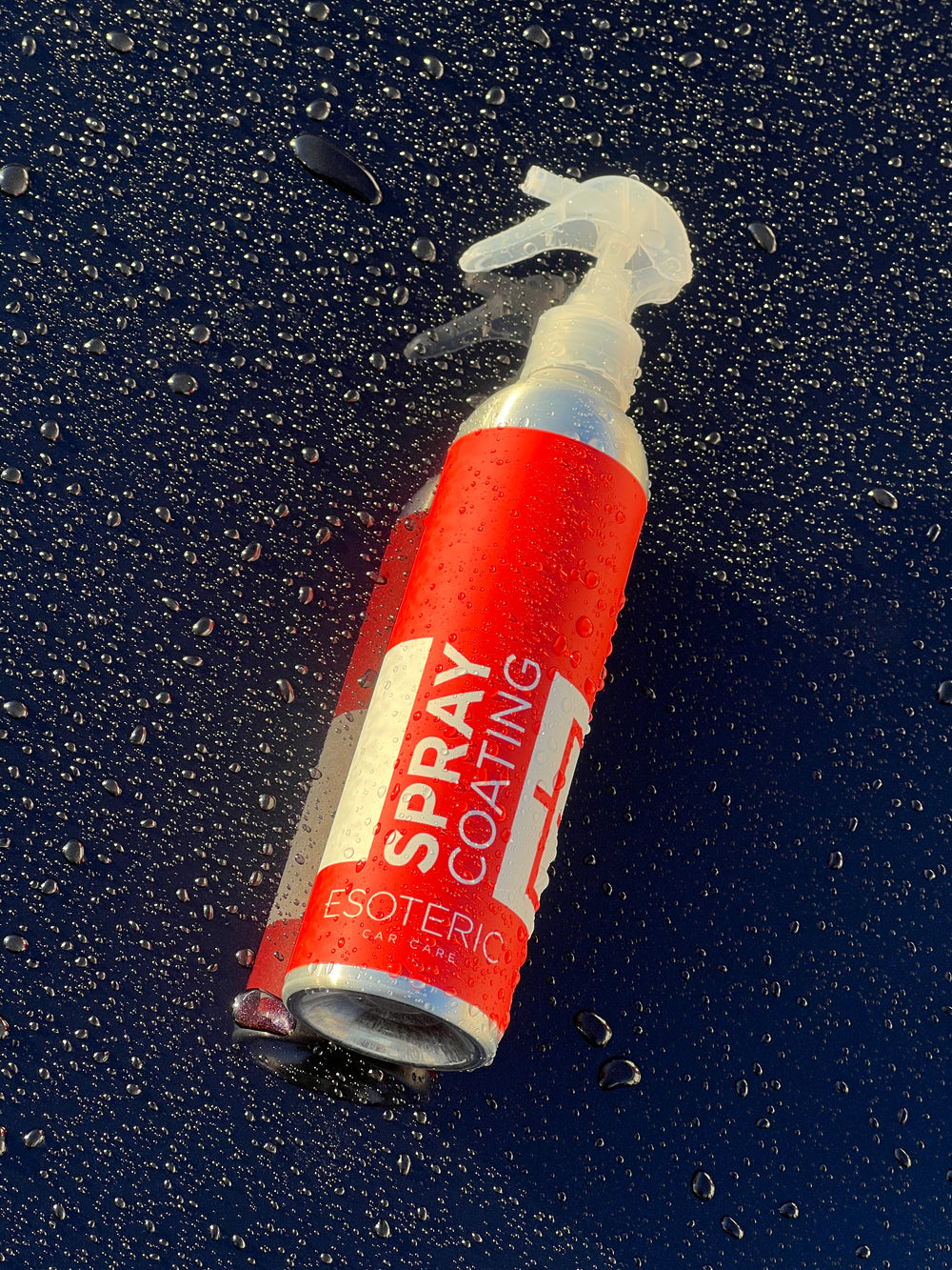 ESOTERIC Spray Coating Ceramic Spray Sealant for Paint Protection